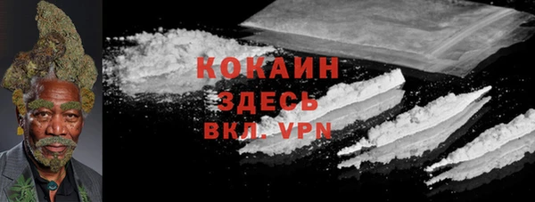 бошки Новодвинск