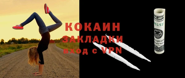 бошки Новодвинск