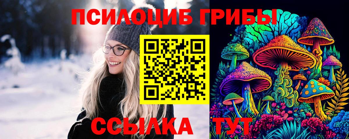 где купить   Галлюциногенные грибы мухоморы  Вход с VPN  Стрежевой 